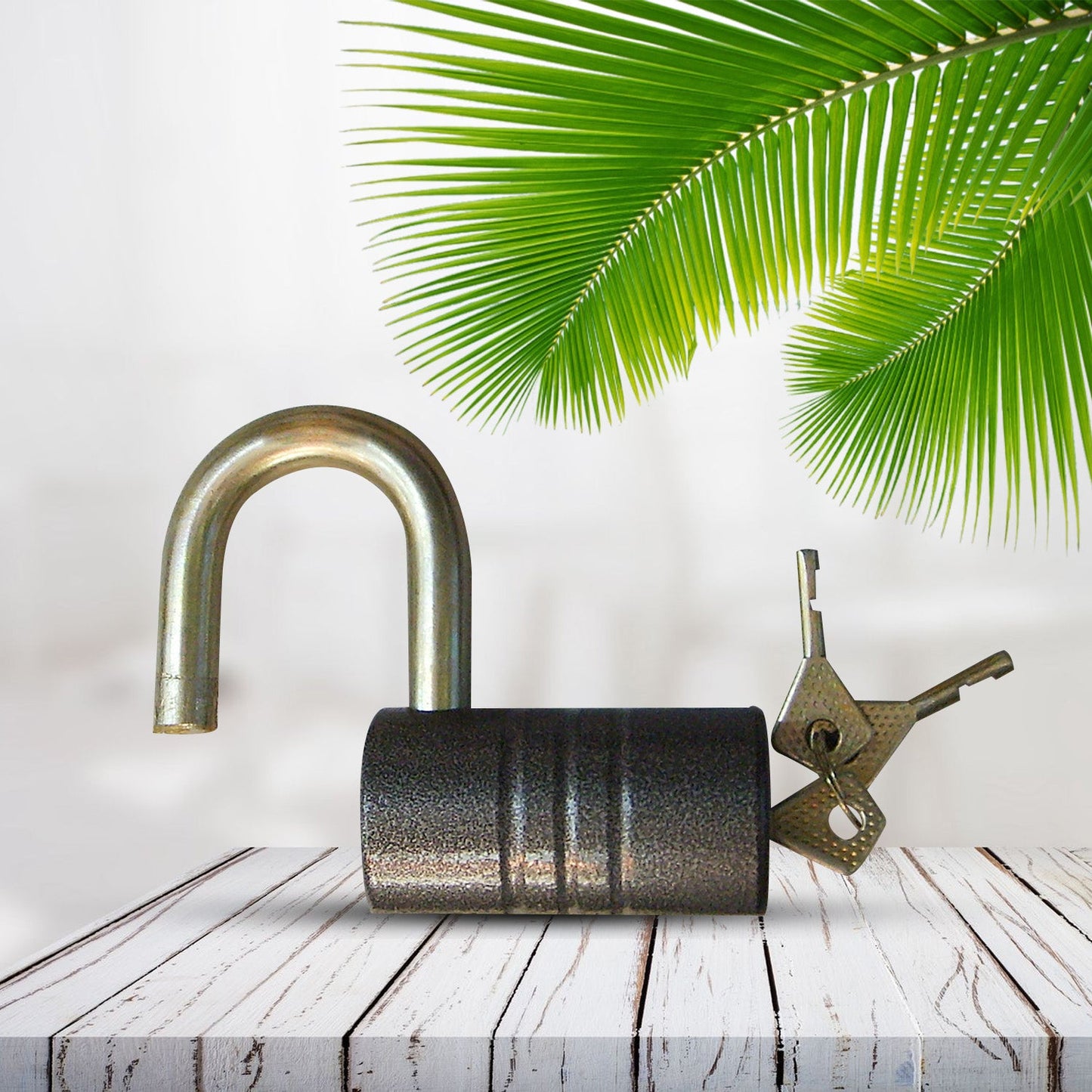 Heavy-Duty Iron Padlock ? 82mm Black Spray Lock with Brass Core & 5 Keys, Waterproof & Anti-Theft
