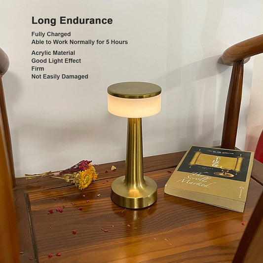 Touch LED Lamp ? USB, 3 Colors, 3 Brightness Levels (1 Pc, Metal)