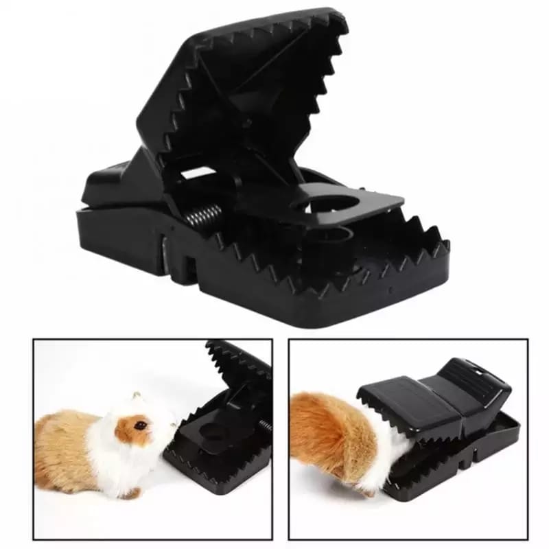 Mouse Trap Cage with Dummy Mouse ? Reusable Pest Control for Home & Office (1 Pc)
